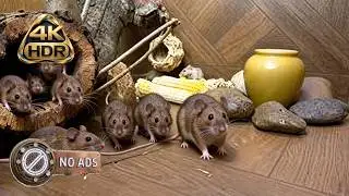 [NO ADS] CAT TV 🐭 The Underground Pulse: Raw Subterranean Visuals for Solitary House Cats