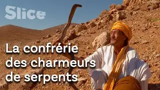 Attraper les reptiles les plus dangereux au monde | SLICE