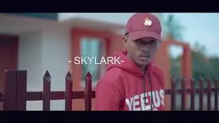 Lee Voice - Sawa  Official Video