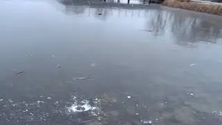 -5&deg;C