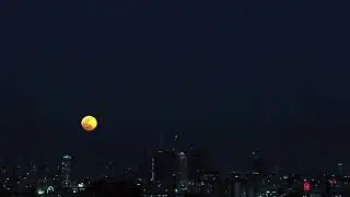 Last Super Moon for 2020 | Full 