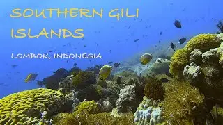 Scuba Diving Gili Gede, Lombok, Indonesia (Batu Puti, Coral Garden, other sites)