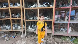 المجموعة 16 || راح احذف القناة 💔🥺