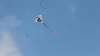How to assemble and fly a Disney Frozen Diamond Kite.