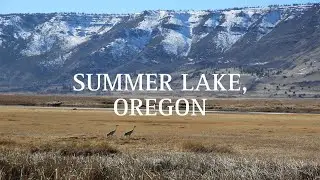 Neck of the Woods // Episode 12 // Summer Lake, Or. Pt. 1