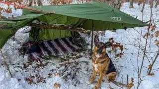 Winter Camping BUSHCRAFT SHELTER with my Dog!