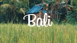 Around BALI - the PARADISE in Indonesia
