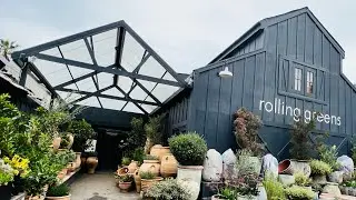 Rolling GREENS Nursery, CULVER CITY, CALIFORNIA