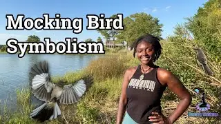 The Mocking Bird Spirit Animal Totem | What it Means to See a Mocking Bird 