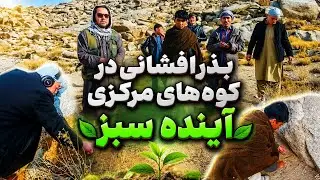 طبیعت# بزر افشانی تخم جنگلات# آینده سبز#