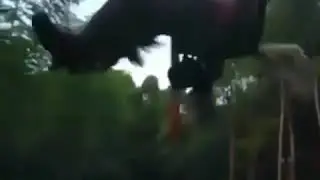 spinning horse meme