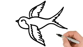 How to Draw Swallow Bird / Easy Drawing tutorial
