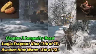 Black Myth Wukong Awaken Nine Worm and Luojia Fragrant Vine Chapter 3 Longevity Road