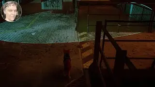 Infiltrating the Factory - Stray [6]