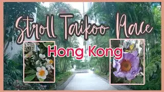 TaiKoo Place [Make Way For Nature] by MoonHiker Channel