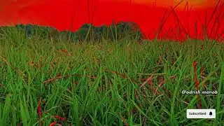 The natural beauty of the coastline and the Bay of Bengal is undoubtedly 