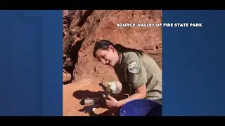 Gila monster rescued at Valley of Fire
