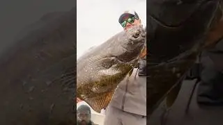 Amazing fish world #fishing #viral #nature #sea  #fish #animals #food #trending #shorts