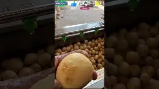 Time Saving Potato Peeling Machine. Just Peel Any Root Vegetables Faster & Easier With This Machine.
