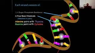Lecture on  Nature, structure & replication of genetic materials PART-2 (STRUCTURE OF DNA)