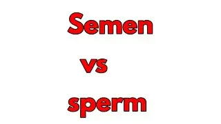 Semen|Difference between sperm and semen|Semen composition|Composition of semen|Dr samcrest