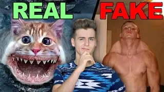 Real Or Fake?