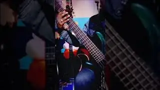 Disco Rap bass covered by Rohan Sinchuri 👍