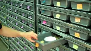 Watch Garrick feed frozen thawed rodents..see his secrets to getting them to eat!