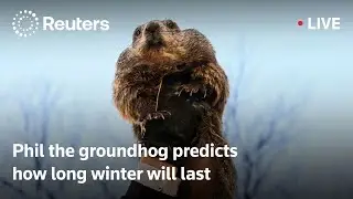 LIVE: Phil the groundhog predicts how long winter will last