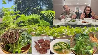 បេះបន្លែក្រោយផ្ទះសម្លក់មួយឆ្នាំ