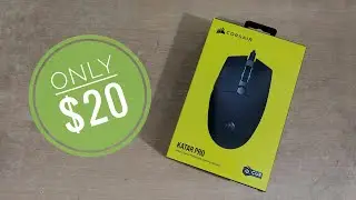 Corsair Katar Pro (Best $20 Gaming Mouse) [English]