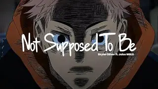 Not Supposed To Be - Skyler Oliver ft. Juice WRLD | Remix