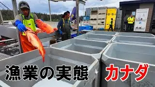 日本の漁業の未来？　カナダの漁師町に潜入