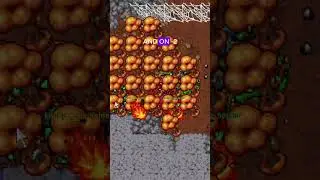 Tibia Time Boosted Series: Exotic Cave Spider! 🕷️ #tibia #gaming #shorts
