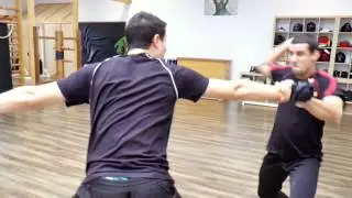 1. Wing Tai Clip