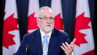 Auditor general calls Phoenix pay system a 'failure'