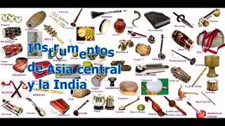 INSTRUMENTOS DE LA INDIA Y ASIA CENTRAL (IRAN, PARTE DE IRAK, AFGHANISTAN, PAKISTAN , NEPAL ETC.)