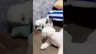 Si bayiii yg asik main sendiri