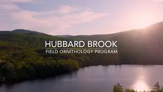 Hubbard Brook Field Ornithology Program: The Living Classroom