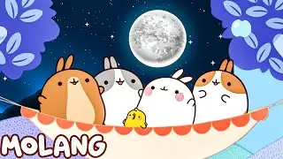 Camping Adventure with Molang and Piu Piu | Season 1 | Cute Cartoons | Hooplakidz Tv