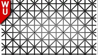 Mind Blowing Optical Illusions Finally EXPLAINED