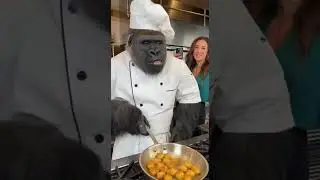🦍👨&zwj;🍳 &ldquo;POV: Your chef is a gorilla.&rdquo; ✅ #Shorts #Gorilla 🦍 #Chef 👨&zwj;🍳 #POV #Funny #Viral #Cooking #AI