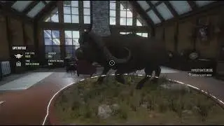 My first Diamond Buffalo in cotw!