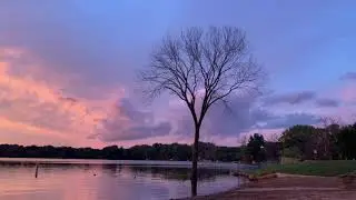 Relaxing Music for study, focus | Dragon shape cloud | Zen Lotus