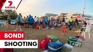 Bondi Beach Shooting Leaves Dozens Dead, Sydney in Shock (AI Generated News)