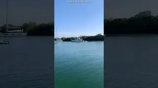 #sharkmama #walkingtour #florida #miamilife #boating #boat #travelguide #nationalpark #walking #walk