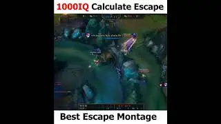 1000IQ Calculate Escape - Best Escape Montage