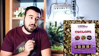 🍕🥪&iquest;QUE COMEN LOS PECES? 🍭🍫 6 ALIMENTOS PARA PECES BARATOS, FACIL y SENCILLOS!