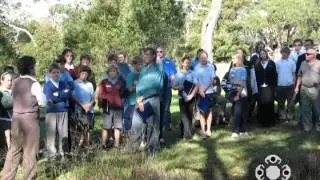 Portland Secondary College - Understorey Project .mov