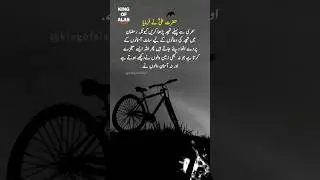 Urdu best quote || Urdu best Islamic quotes || Urdu Islamic states
